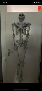 Halloween skelet te huur, Ophalen of Verzenden, Gebruikt, Halloween of Griezel