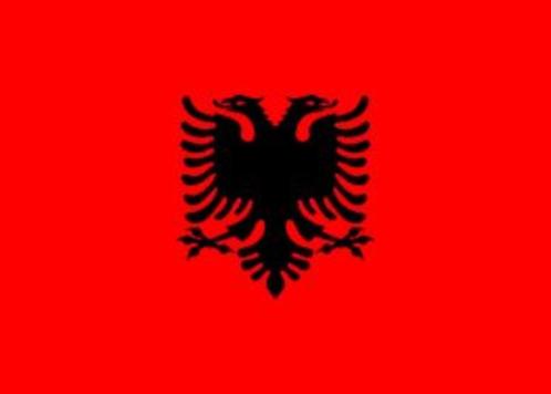 vlag Albanie, Diversen, Vlaggen en Wimpels, Nieuw, Ophalen of Verzenden