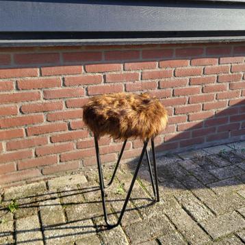 Kruk metaal met bruine vacht beschikbaar voor biedingen