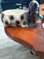 Dit zijn 2 jemas   merken ik het een kleintje en een groten, Ophalen of Verzenden, Gebruikt, Dier