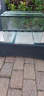 Terrarium 60-40-40, Hamster, Overige typen, Minder dan 75 cm, Zo goed als nieuw