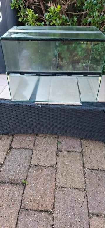 Terrarium 60-40-40 beschikbaar voor biedingen