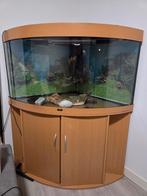 Juwel Aquarium – 350 Liters (with Accessories), Dieren en Toebehoren, Vis