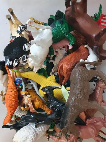 Heel veel dieren beschikbaar voor biedingen