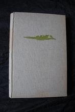 ROMSICHT door G. Lootsma-Smidstra friestalig, Boeken, Ophalen of Verzenden, Gelezen, Nederland