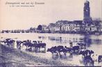 Deventer ca. 1910 Riviergezicht met koeien blauw Schalekamp, Verzamelen, Verzenden, Voor 1920, Ongelopen, Overijssel