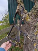 Prachtige halsters, Ophalen of Verzenden, Nieuw, Dressuur