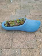 Betonnen Klomp met Vetplantjes, Tuin en Terras, Ophalen, Gebruikt, Minder dan 30 cm, Minder dan 60 cm