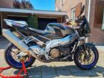Aprilia Tuono 1000R (bj. 2006), Motoren, Motoren | Aprilia, 2 cilinders, Particulier, Naked bike, Meer dan 35 kW