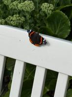 Wit gelakte deckchair., Tuin en Terras, Tuinstoelen, Ophalen, Gebruikt, Hout, Verstelbaar