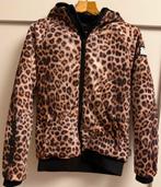 Winterjas SuperRebel, maat 176, Meisje, Ophalen of Verzenden, Zo goed als nieuw, Jas