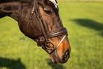 NIEUW Bruine Neusriem - Matte neusriem met bruine padding, Dieren en Toebehoren, Dressuur, Bitsnbridles.eu@outlook.com, Nieuw