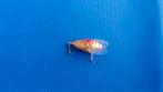 3x mini mix bait hard/soft, Watersport en Boten, Ophalen of Verzenden, Nieuw, Overige typen