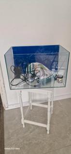Mini aquarium, Ophalen of Verzenden, Minder dan 45 cm, Minder dan 55 cm