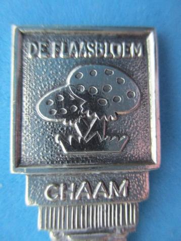(A1555) Chaam De Flaasbloem  beschikbaar voor biedingen