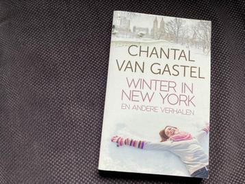 Winter in New York - Chantal van Gastel beschikbaar voor biedingen