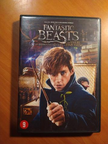 DVD Fantastic Beasts beschikbaar voor biedingen