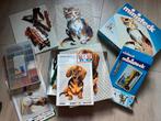 Ministeck kat hond en paard, Hobby en Vrije tijd, Ministeck, Ophalen of Verzenden, Gebruikt, Box-set
