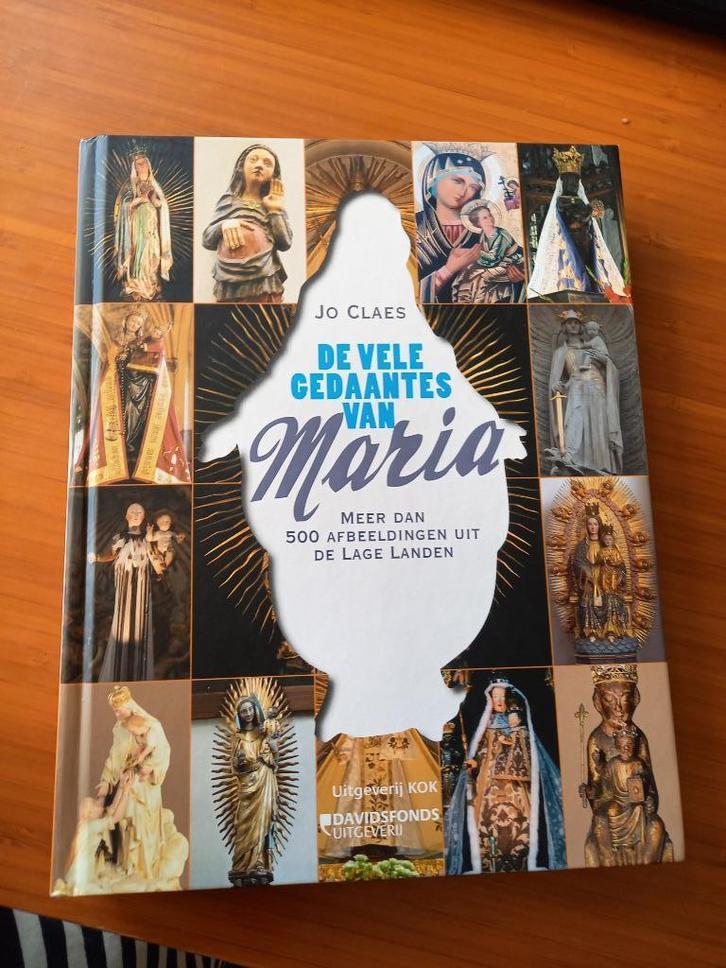De vele gedaantes van Maria, Boeken, Kunst en Cultuur | Beeldend, Nieuw, Overige onderwerpen, Ophalen of Verzenden