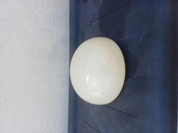   Dutch design gispen plafondlamp/plafonnière jaren 30  beschikbaar voor biedingen