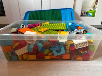 Duplo (incl sets) beschikbaar voor biedingen