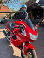 Ducati ST3 nieuwstaat!, Motoren, 2 cilinders, 992 cc, Meer dan 35 kW, Sport
