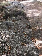 Grind, Tuin en Terras, Ophalen of Verzenden, Overige materialen