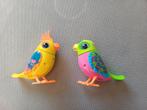 2 Little Live Pets Vogels, Ophalen of Verzenden, Zo goed als nieuw, Jongen of Meisje