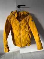 Pikeur winterjas, Dieren en Toebehoren, Paardrijkleding, Ophalen of Verzenden, Gebruikt, Overige soorten, Bovenkleding