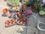 Gratis heel veel kweekpotjes/ bloempotjes / hobby kweeker, Ophalen, Rond, Kunststof, Minder dan 25 cm