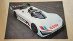 Poster Peugeot 905 Esso, Ophalen of Verzenden