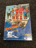 Baywatch David Hasselhoff film tv vintage 1994 94 kalender, Ophalen of Verzenden, Zo goed als nieuw, Overige typen