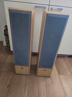 Eltax Millennium 300 Speakers - Prachtig Geluid!, Audio, Tv en Foto, Luidsprekers, Ophalen, Gebruikt, Front, Rear of Stereo speakers