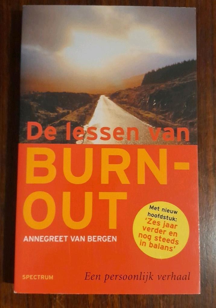 A. van Bergen - De lessen van burn-out, Boeken, Psychologie, Zo goed als nieuw, Ophalen of Verzenden