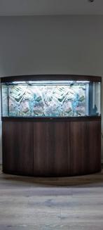 Juwel Vision 450 Aquarium, Dieren en Toebehoren, Vissen | Aquaria en Toebehoren, Ophalen, Zo goed als nieuw, Leeg aquarium