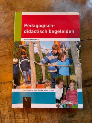 Pedagogisch didactisch begeleiden beschikbaar voor biedingen