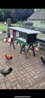 Verrijdbaar kippen/konijnenren, Dieren en Toebehoren, Ophalen, Zo goed als nieuw, Kippenhok of Kippenren