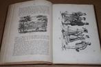 Schets van de Geschiedenis der Nederlanden. 1876., Antiek en Kunst, Ophalen of Verzenden