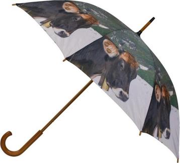 paraplu beschikbaar voor biedingen