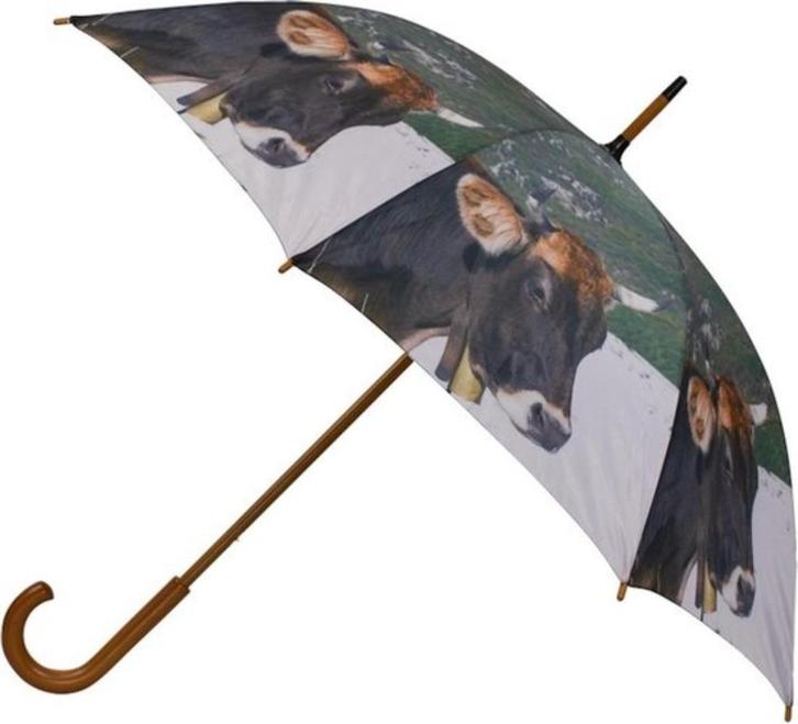 paraplu, Sieraden, Tassen en Uiterlijk, Paraplu's, Nieuw, Groen, Ophalen