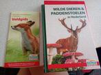 Nieuw! Wilde dieren & paddenstoelen+ veldgids, Ophalen of Verzenden, Nieuw, Natuur algemeen