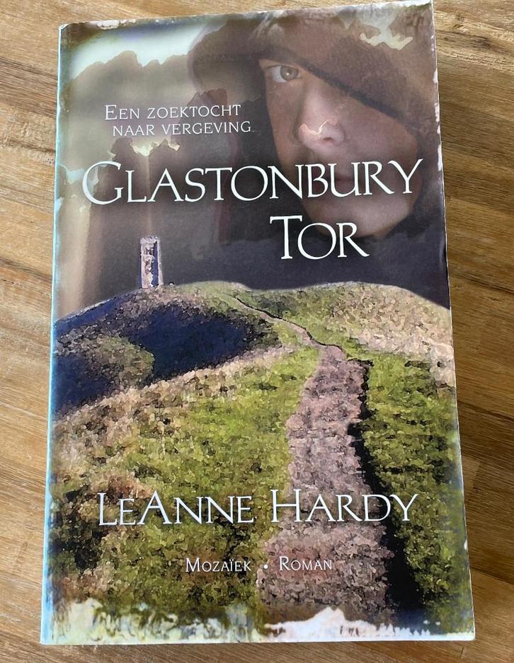 Glastonbury Tor Leanne Hardy, Boeken, Romans, Zo goed als nieuw, Amerika, Ophalen of Verzenden