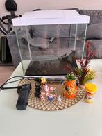 Aquaria, Dieren en Toebehoren, Ophalen of Verzenden, Zo goed als nieuw, Leeg aquarium