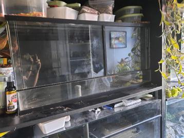 Terrarium 80x40x40 beschikbaar voor biedingen