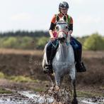 Bijrijder gezocht: 2xper week, lesmogelijkheid & wedstrijden, Dieren en Toebehoren, Ophalen, Nieuw