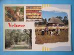 Ansichtkaart: Veluwe, Ophalen of Verzenden, 1980 tot heden, Gelopen, Gelderland