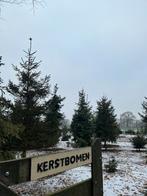 Kerstbomen te koop in Heelweg - Nordmann, Fraseri & meer!, Tuin en Terras, Planten | Bomen, Ophalen, Overige soorten