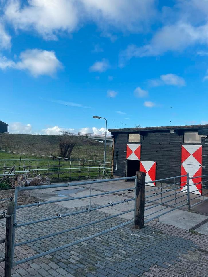 Zoek je stalling voor je Shetlander in de Hoeksewaard?, Dieren en Toebehoren, Stalling en Weidegang, Stalling