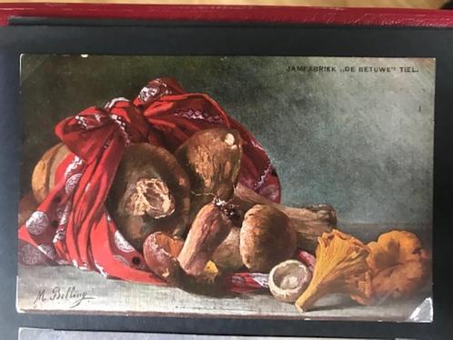 Gezocht: Fruitkaart Mij. de Betuwe, Verzamelen, Ansichtkaarten | Themakaarten, Voor 1920, Overige thema's, Verzenden