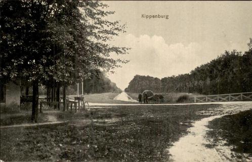 Weg door boslandschap bij Kippenburg, Verzamelen, Ansichtkaarten | Nederland, Ongelopen, Friesland, 1920 tot 1940, Ophalen of Verzenden